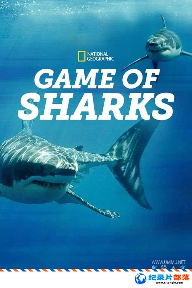 ̬¼Ƭս Game of Sharks 2022Ӣ-Ѹ