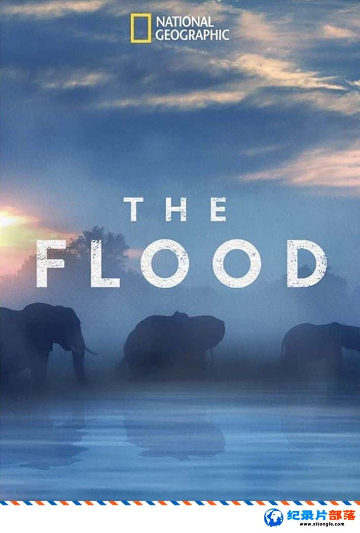 ̬¼Ƭˮ The Flood 2018һ ӢӢ-Ѹ