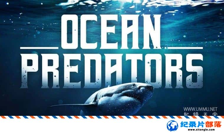 ̬¼Ƭʳ Ocean Predators 2013 Ӣ-Ѹ