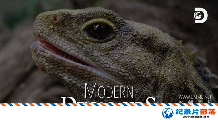 ʷ¼Ƭĺ Modern Dinosaurs ӢӢ˫-Ѹ