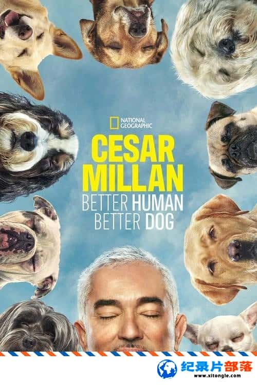 ʷ¼Ƭ̹ٹѵ Cesar Millan: Better Human Better Dog 2021һ Ӣ-Ѹ