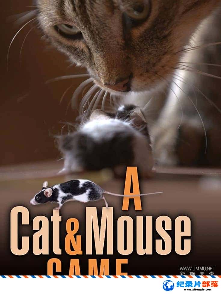 ¼¼ƬèϷ A Cat and Mouse Game 2019ӢӢ˫-Ѹ