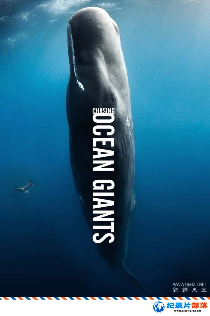 ̬¼Ƭ׷ٺ Chasing Ocean Giants 2021 Ӣ-Ѹ