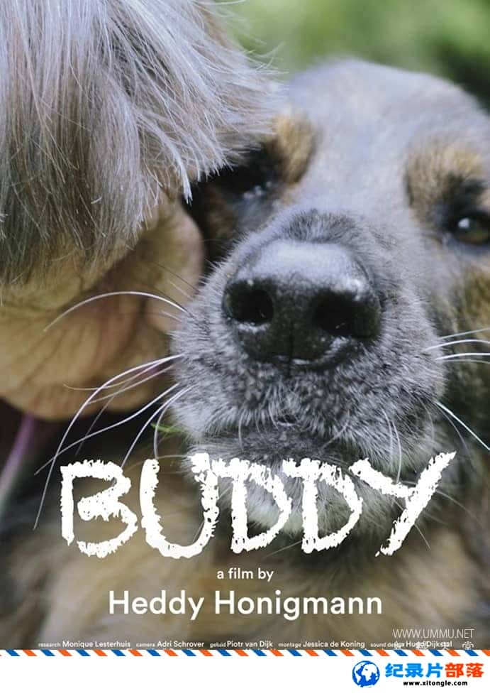 ¼¼Ƭ Buddy 2018Ӣ-Ѹ