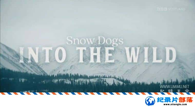 ʷ¼ƬѩȮҰ Snow Dogs: Into the Wild 2022ӢӢ˫-Ѹ