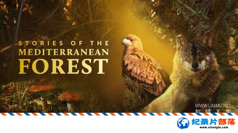 ̬¼ƬкɭֵĹ Stories of the Mediterranean Forest 2017һ ӢӢ˫-Ѹ