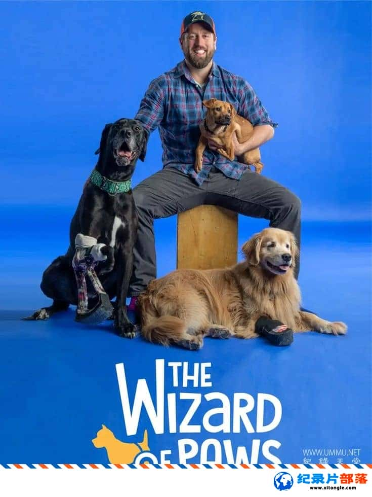 ʷ¼Ƭ֫ħʦ The Wizard of Paws 2020һ ӢӢ˫-Ѹ