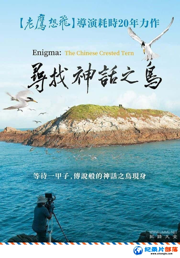 ̬¼ƬѰ֮ Enigma: The Chinese Crested Tern 2021-Ѹ