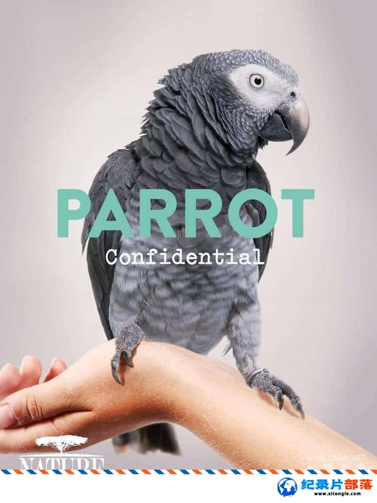 ѧ̽¼ƬȻ磺 Parrot Confidential 2013ӢӢ˫-Ѹ