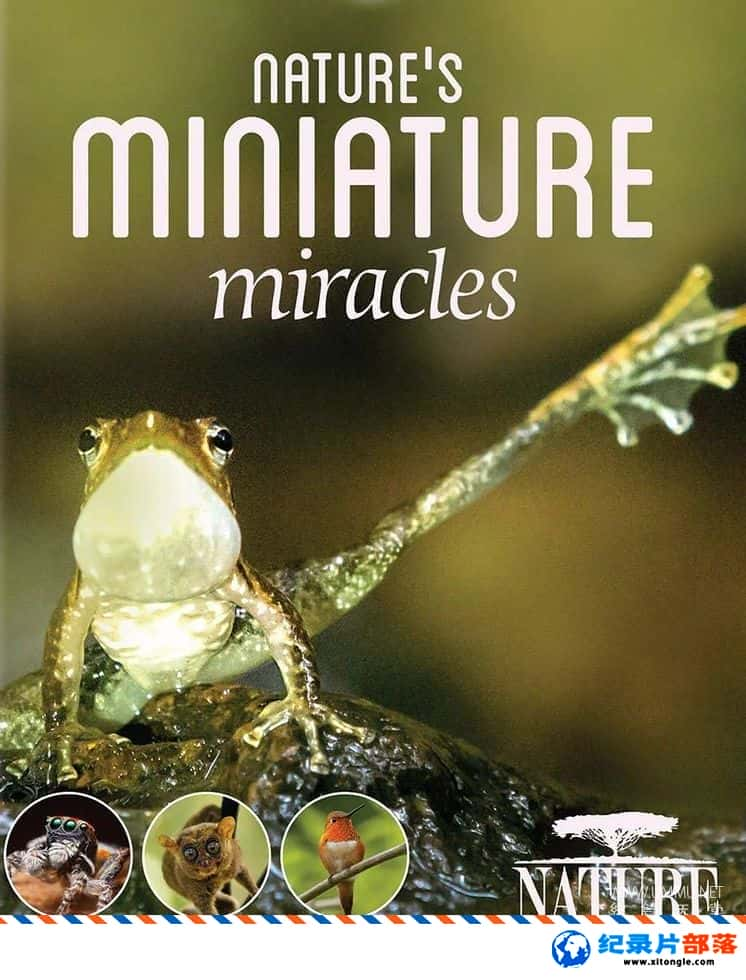 ̬¼ƬȻȻ΢漣 Natural World:Nature Miniature miracles 2017-Ѹ