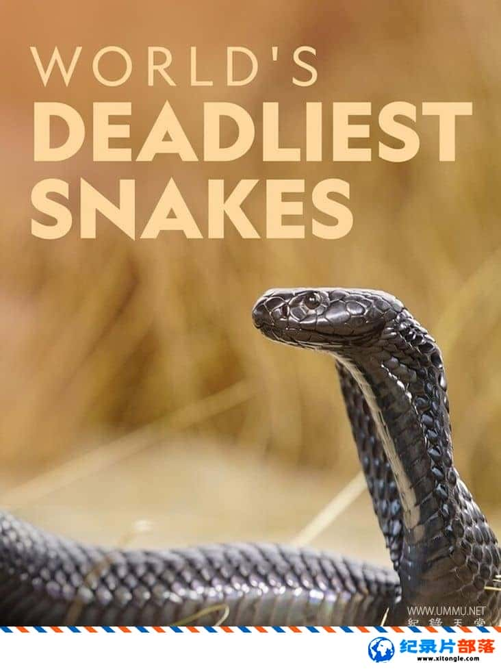 ѧ̽¼Ƭ World Deadliest Snakes 2017һ Ӣ-Ѹ