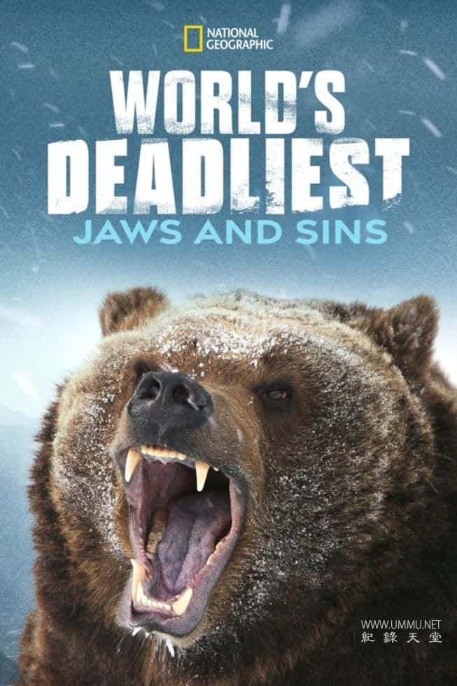 ̬¼Ƭ֮ World Deadliest: Jaws &amp;#038; Sins 2013һ Ӣ-Ѹ