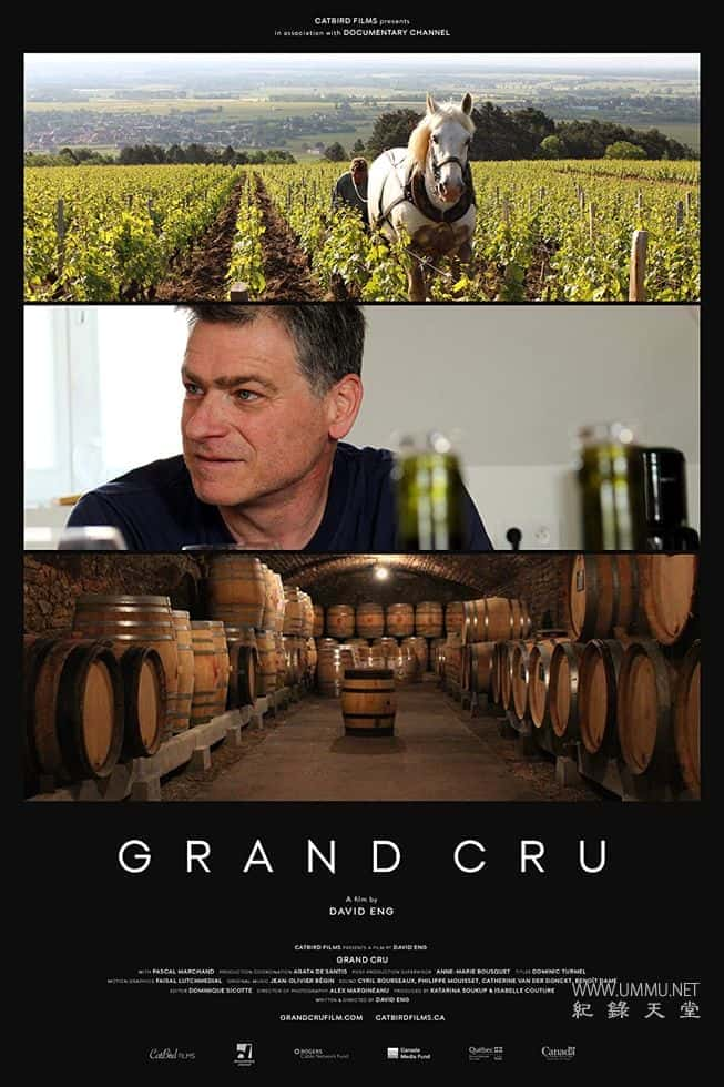 ʷ¼Ƭؼׯ Grand Cru 2017Ӣ˫-Ѹ