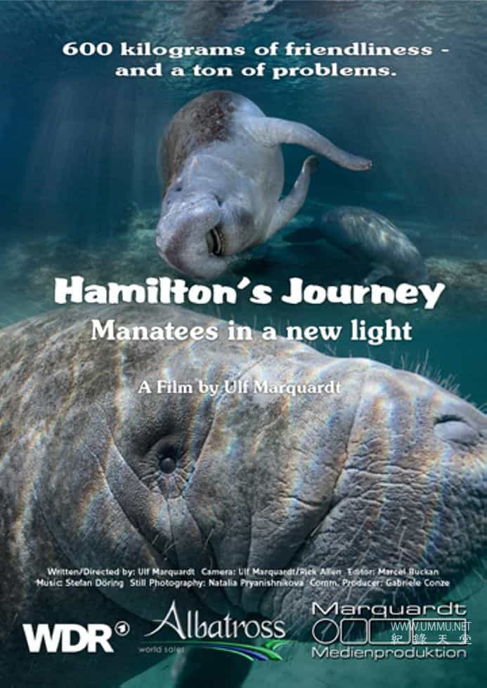 ̬¼Ƭܶٵọ́ţò Hamilton Journey: Manatees in a New Light 2014ӢӢ˫-Ѹ