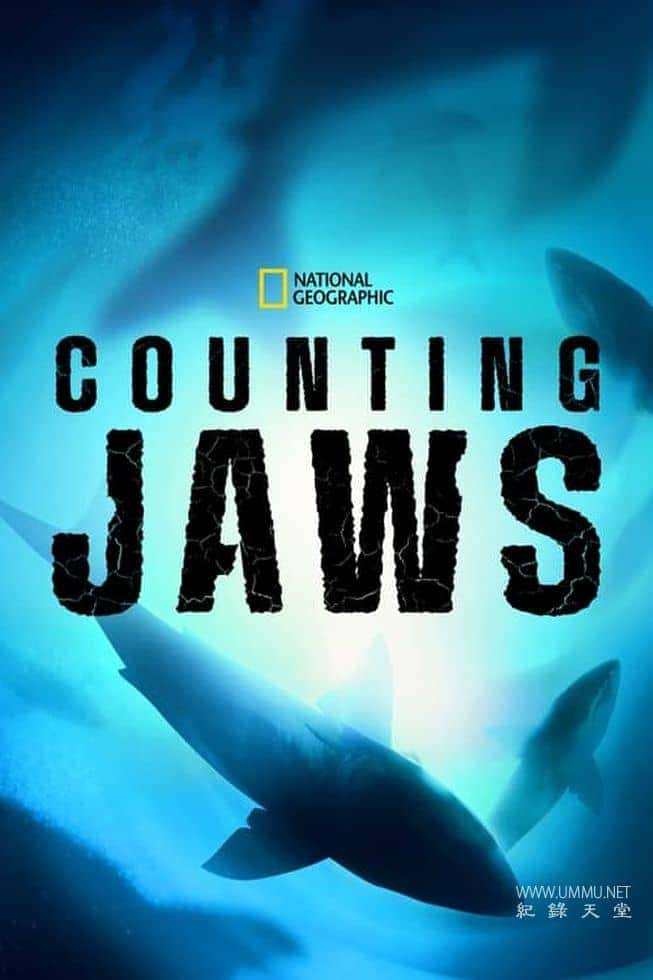 ̬¼Ƭ Counting Jaws 2022Ӣ-¼ƬԴ1080P/720P/360PѸ