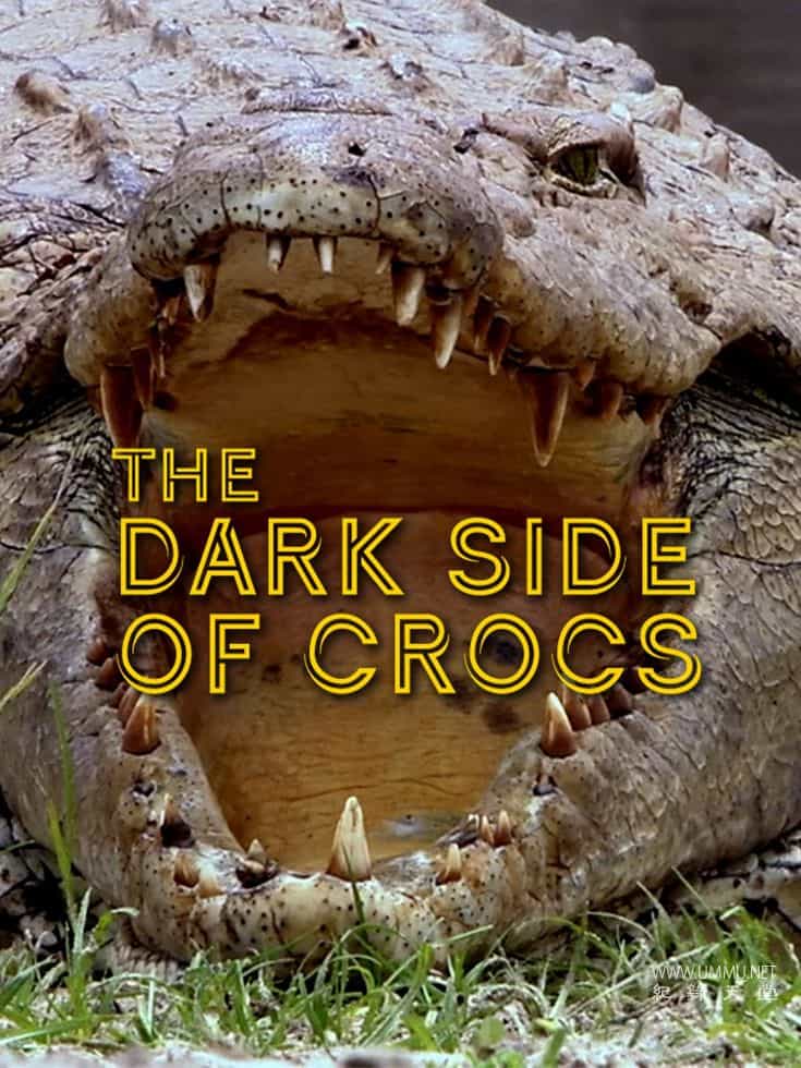 ̬¼Ƭ Dark Side of Crocs 2022ӢӢ˫-¼ƬԴ1080P/720P/360PѸ