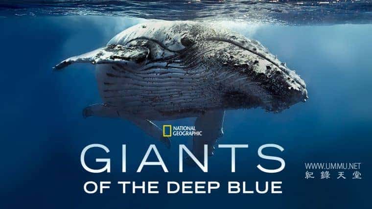 ̬¼Ƭ Giants of the Deep Blue 2018ӢӢ˫-¼ƬԴ1080P/720P/360PѸ