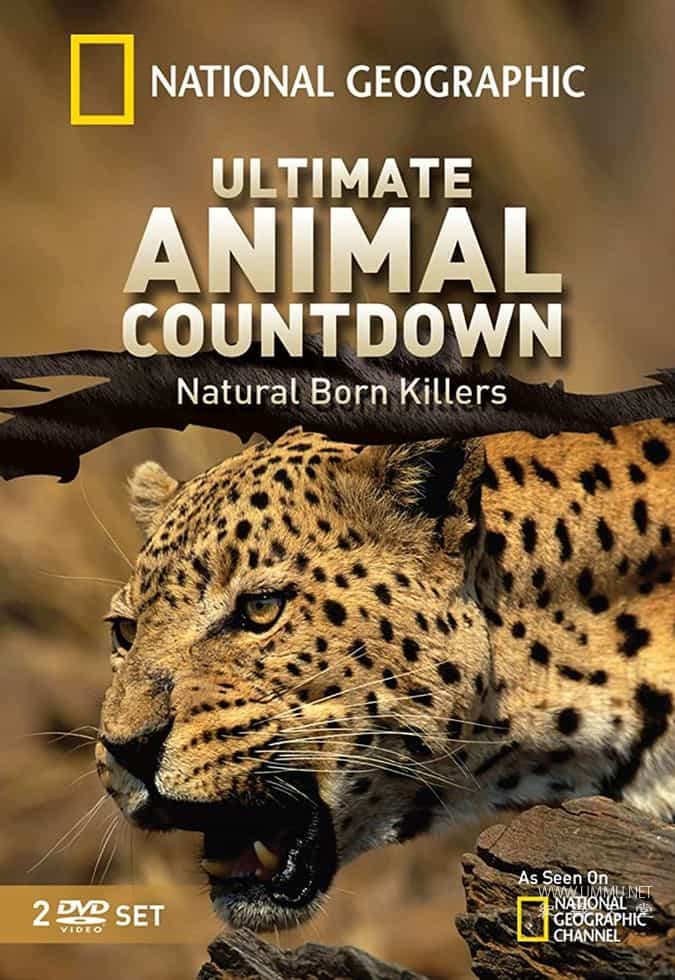 ѧ̽¼Ƭߣռս Ultimate Animal Countdown 2013Ӣ-¼ƬԴ1080P/720P/360PѸ