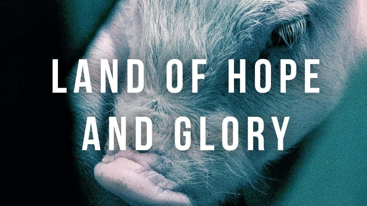 ¼Ƭϣҫ֮/Land of Hope and Glory(2017)