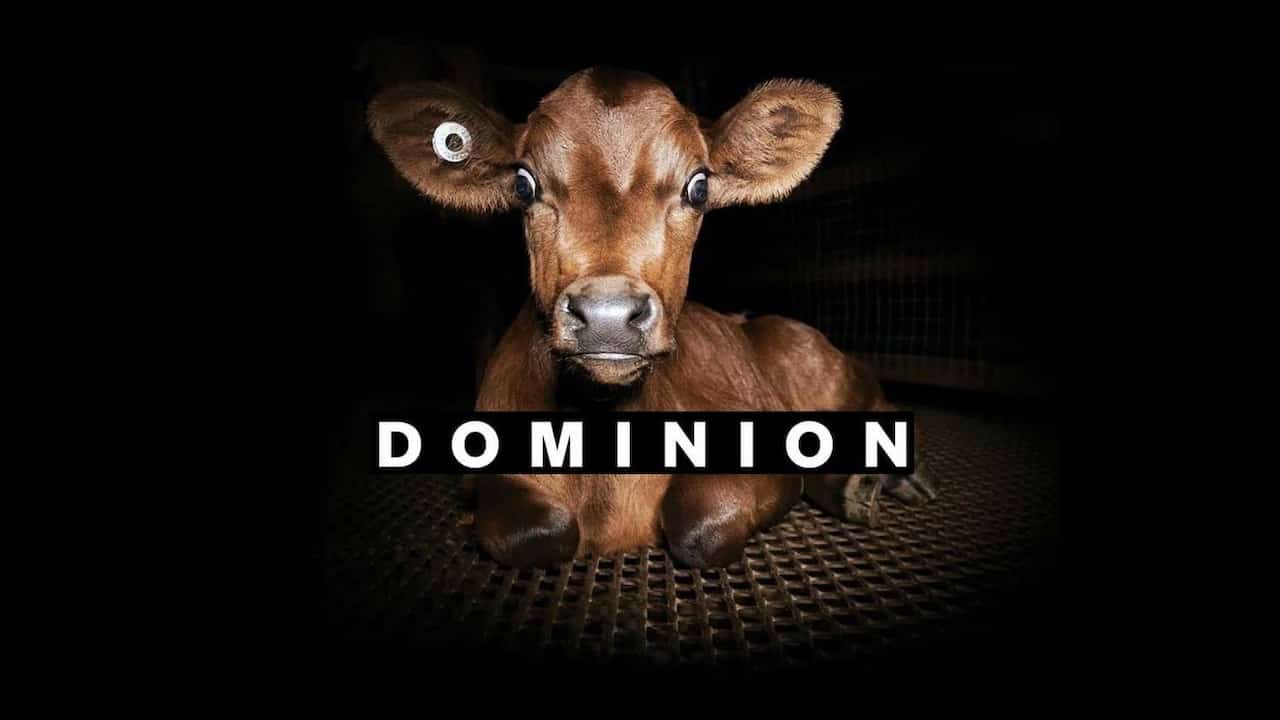 ¼ƬȨ/Dominion(2018)