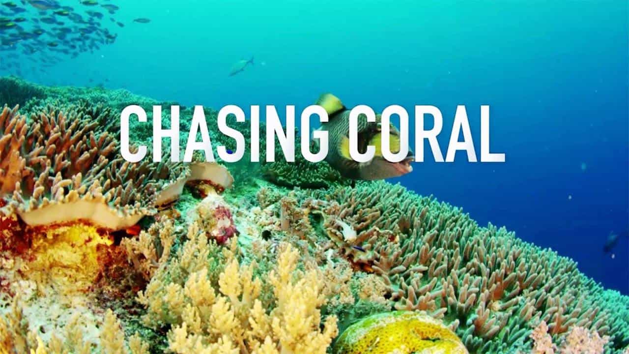 ¼Ƭ׷ɺ/Chasing Coral(2017)