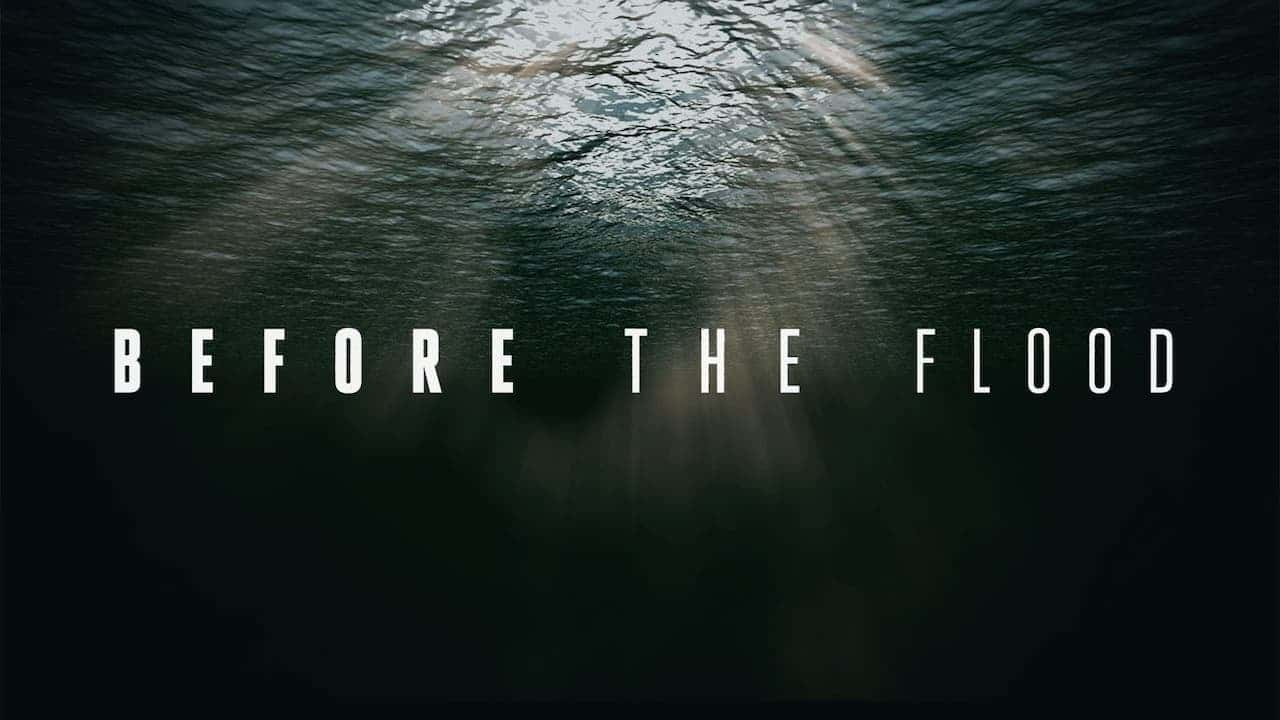 ¼Ƭˮ֮ǰ/Before the Flood(2016)