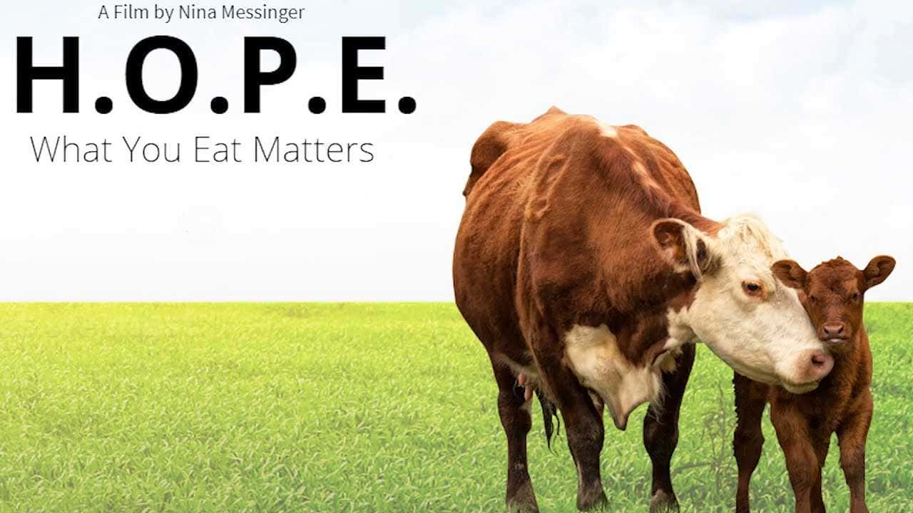 ¼ƬϣʲôҪ/H.O.P.E: What You Eat Matters(2018)