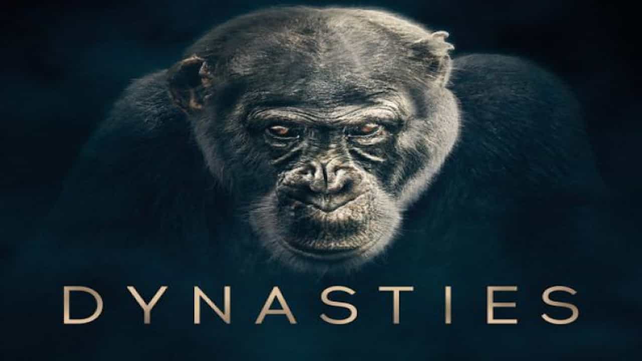 ¼Ƭ/Dynasties(2018)