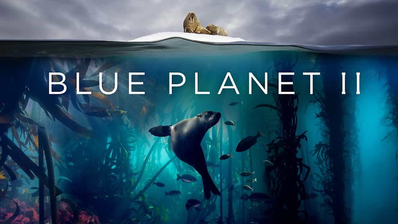 ¼ƬɫII/Blue Planet II(2017)