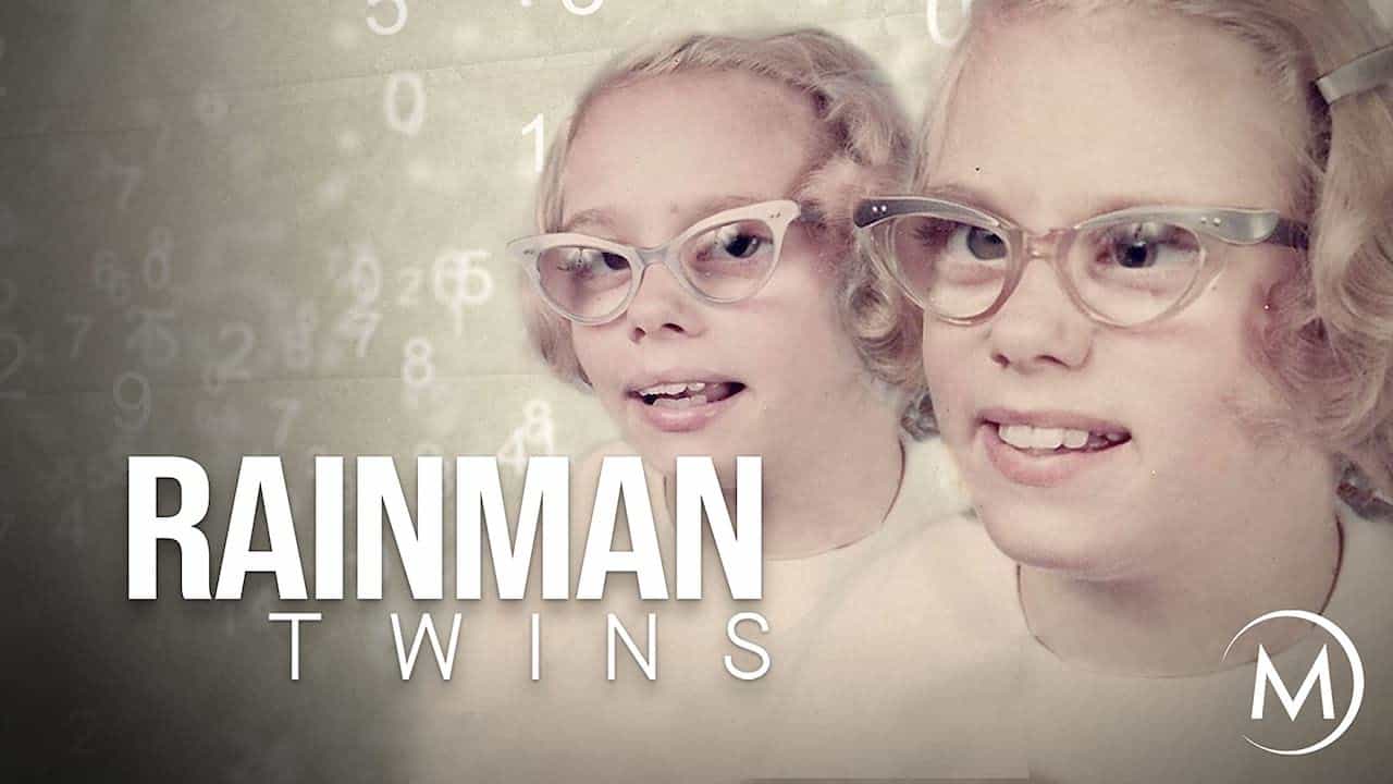 ¼Ƭ˫̥/The Rainman Twins(2008)