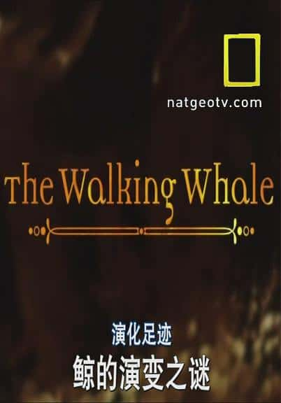 ¼Ƭݻ㼣 The Walking Whale-