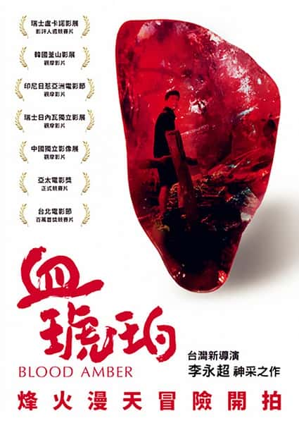 [独立] 血琥珀 / Blood Amber-纪录片资源1080P/720P/360P高清标清网盘迅雷下载