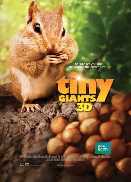 [BBC] С / Tiny Giants 3D-Ѹ