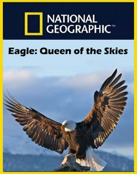 [ҵ] ӥյŮ / Eagle Queen of the Skies-Ѹ