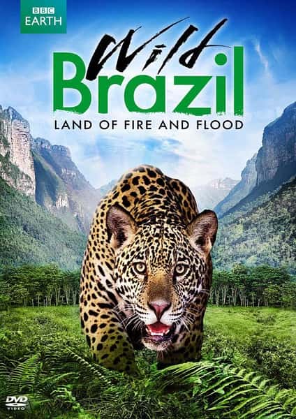 [BBC] Ұ / Wild Brazil-Ѹ