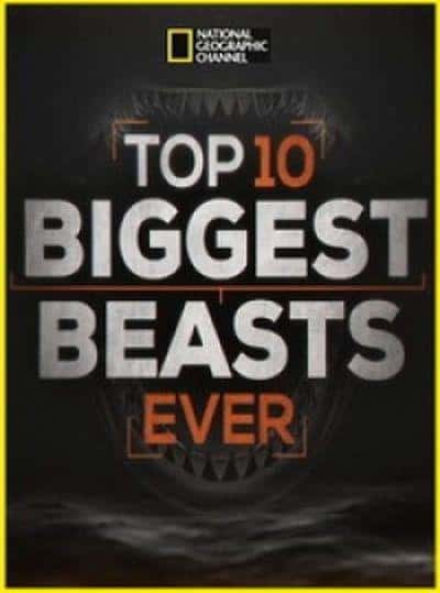 [ҵ] ʮа / Top 10 Biggest Beasts Ever-Ѹ