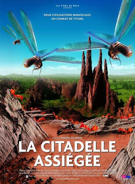 [] ΧǱ / La Citadelle assi-Ѹ