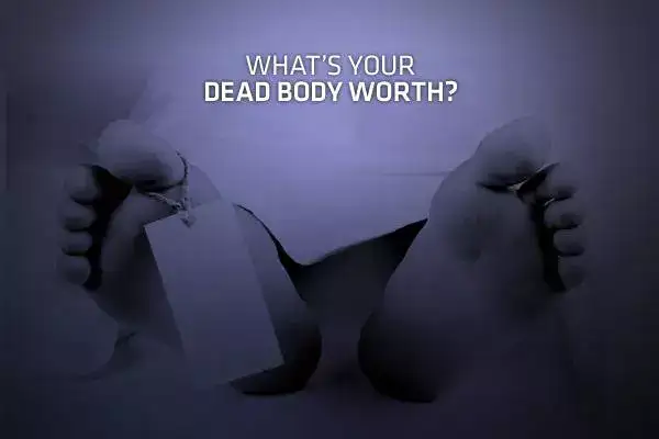 [BBC] ʬļֵ / How Much Is Your Dead Body Worth-Ѹ