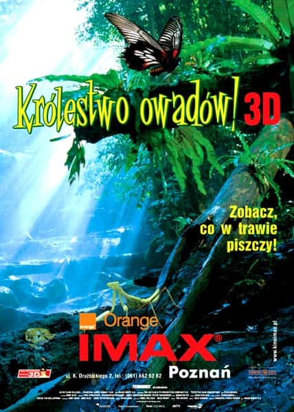 [IMAX] ӣȴð / Bugs!: A Rainforest Adventure-Ѹ