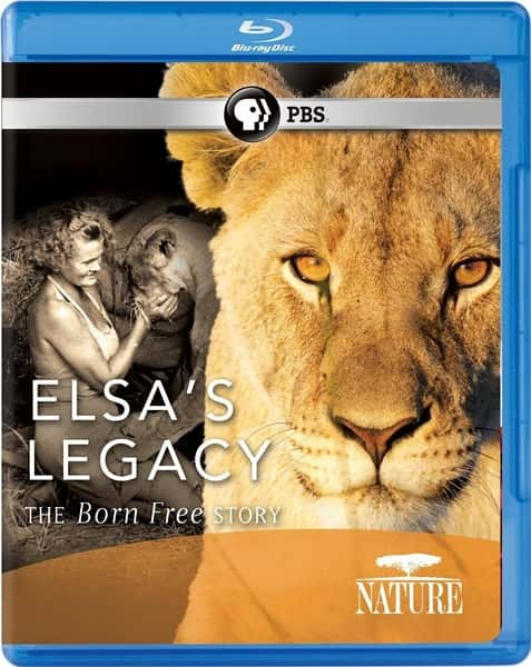 [PBS] Ȼ - ɯŲɵĹ / PBS: Nature - Elsa's Legacy: The Born Free Story-Ѹ