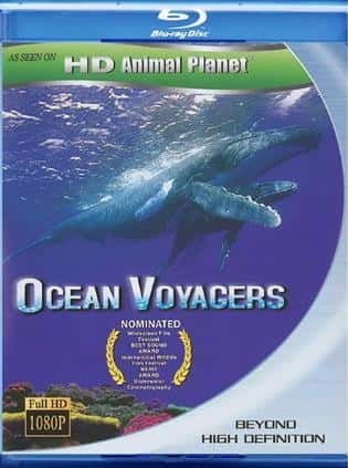 [ҵ] ϵУ֮ / Ocean Voyagers-Ѹ