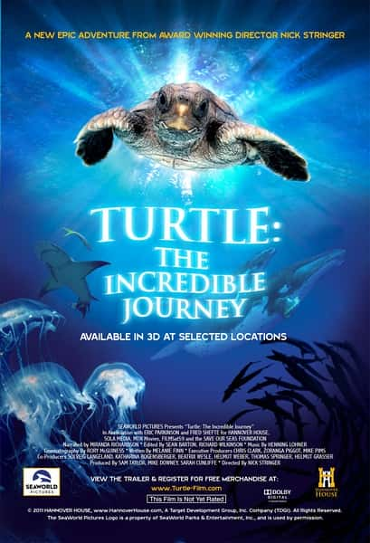 [] ֮ / Turtle: The Incredible Journey-Ѹ