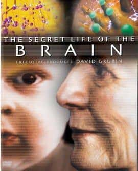 [PBS] 有脑有生命 / The Secret Life of the Brain-纪录片资源1080P/720P/360P高清标清网盘迅雷下载