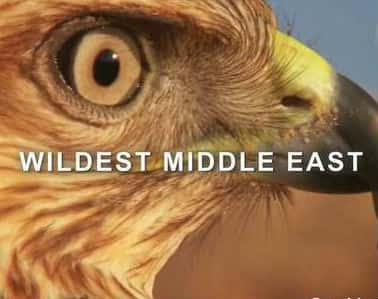 [Discovery] жҰ / Wildest Middle East-Ѹ