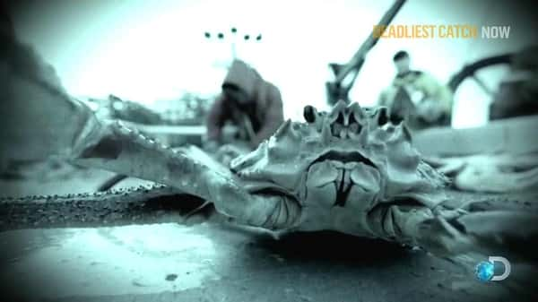 [Discovery]  / Deadliest Catch-Ѹ