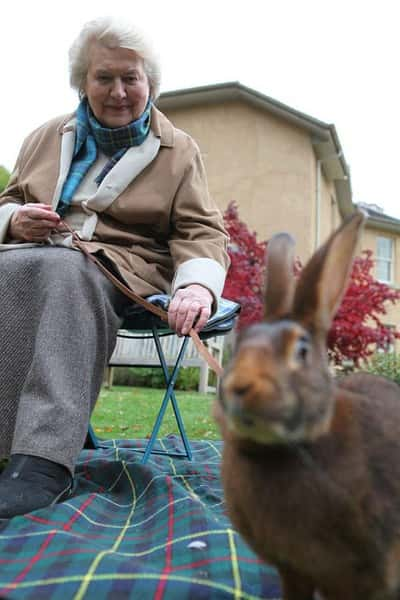 [BBC] ġһ׷Ѱ̴˿ / Beatrix Potter with Patricia Routledge-Ѹ