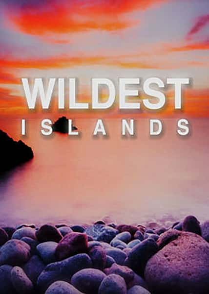 [Discovery] ҰԵ / Wildest Islands Season 1-Ѹ