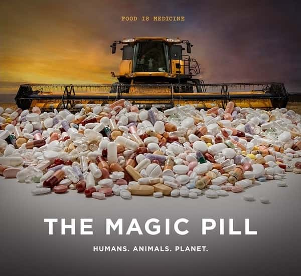 [] ҩ  / The Magic Pill-Ѹ