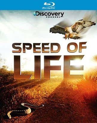 [Discovery] ٶ / Speed of Life-Ѹ