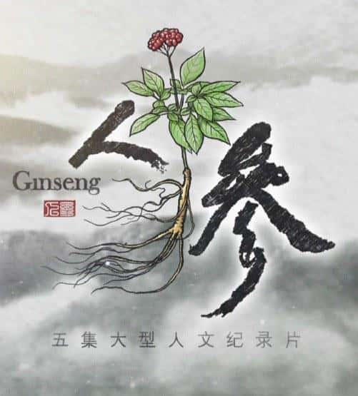 [] ˲ / Ginseng-Ѹ